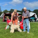 C.I.B.-J,FI JUCH,NORDIC J CH CAMERON HIGH WIRED