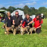 Kennel BJÖRSHULT